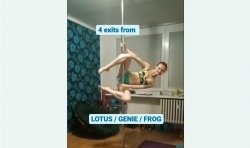 SP inspiration - Lotus / Genie