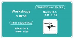 Workshopy v Brně