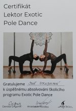 Školení Lektor Exotic Pole Dance